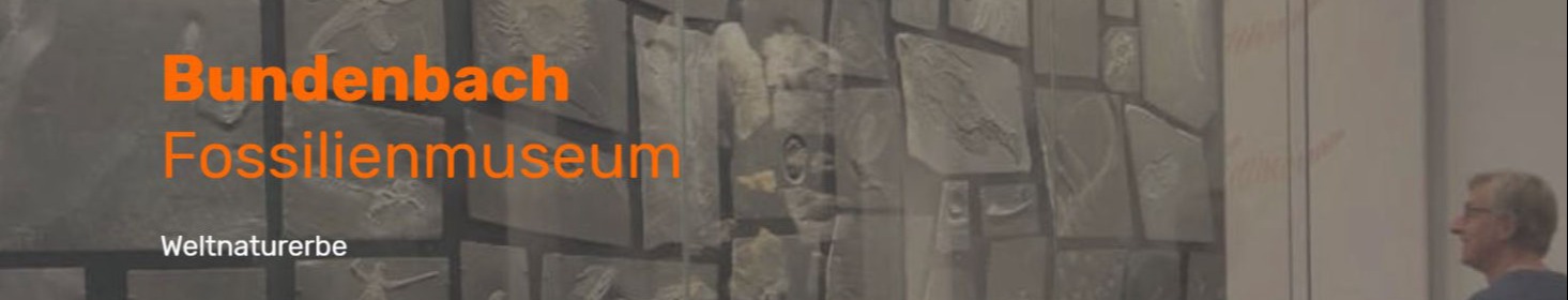 Bundenbach-Fossilien_Museum_Plädoyer