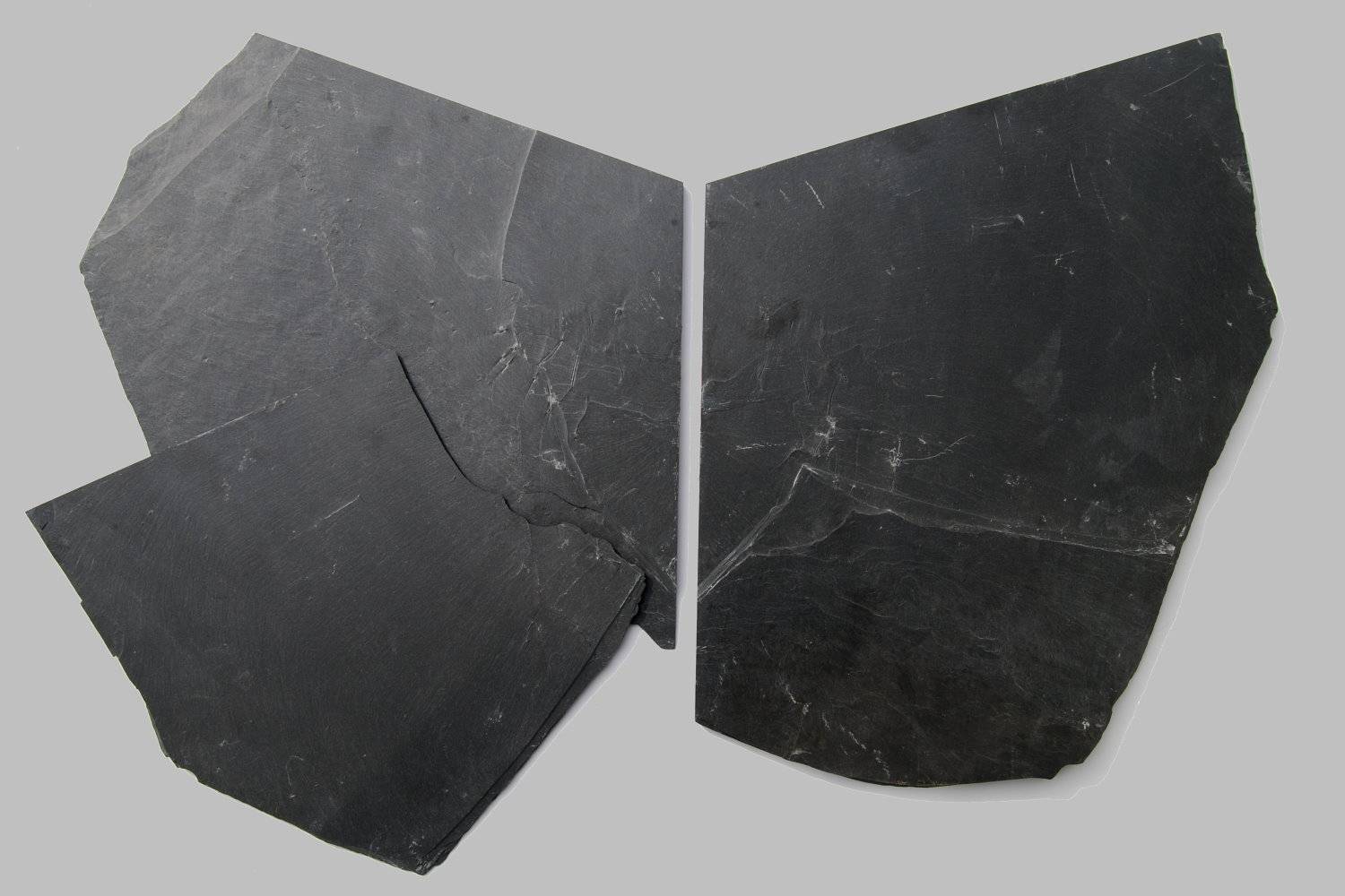 Follicrinus grebei, Bundenbach