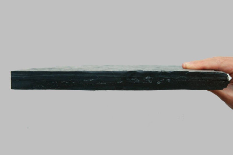 Gastrocrinus giganteus, Bundenbach