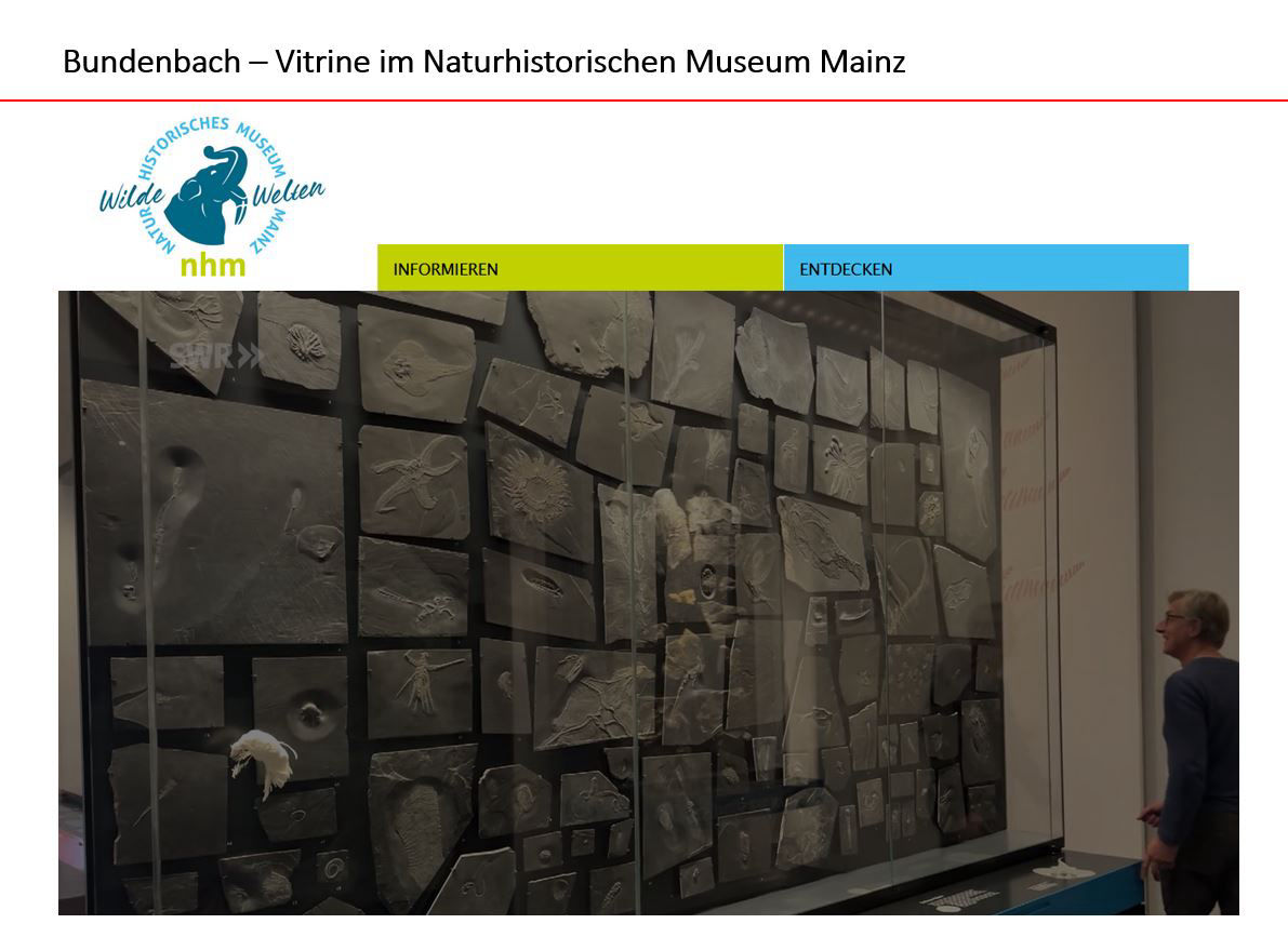 Bundenbach-Fossilien_Museum_07