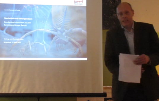 Bundenbach-Fossilien_Birkenfeld_Vortrag