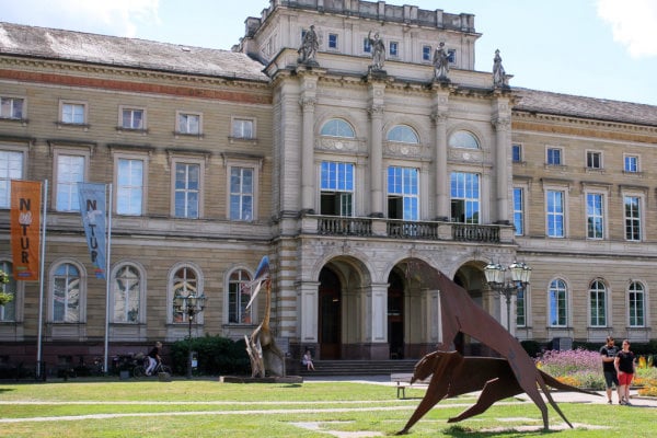 Bundenbach-Fossilien_Museum_SMNK