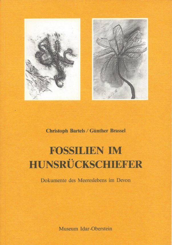 Fossilien_im_Hunsrueckschiefer