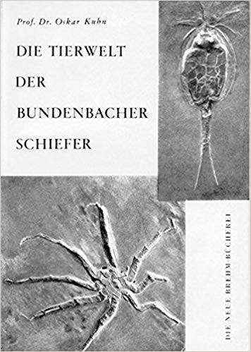 Kuhn_Die Tierwelt der Bundenbacher Schiefer